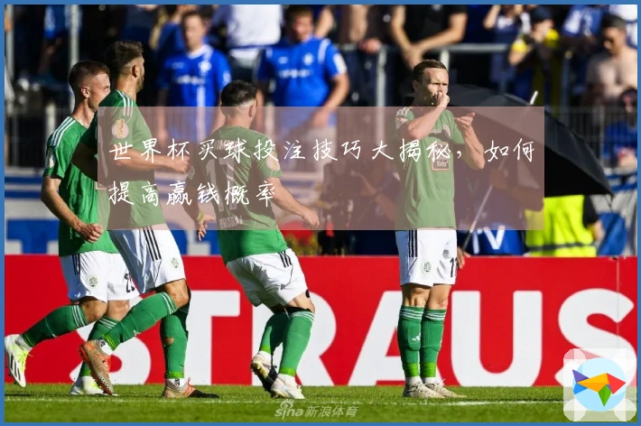 世界杯买球投注技巧大揭秘，如何提高赢钱概率