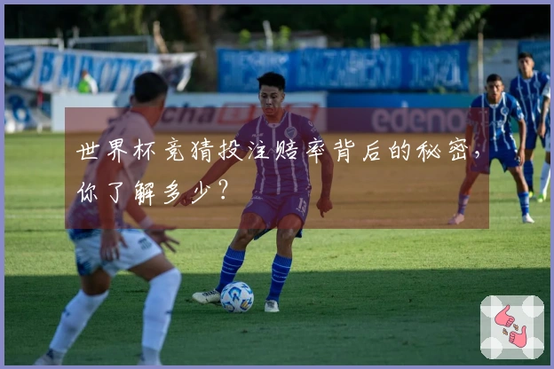 世界杯竞猜投注赔率背后的秘密，你了解多少？
