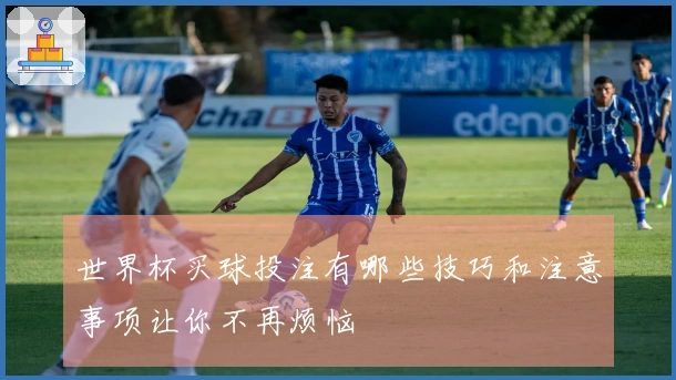 世界杯买球投注有哪些技巧和注意事项让你不再烦恼