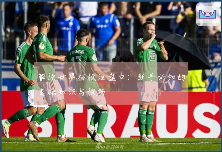 解读世界杯投注盘口：新手必知的基础知识与技巧