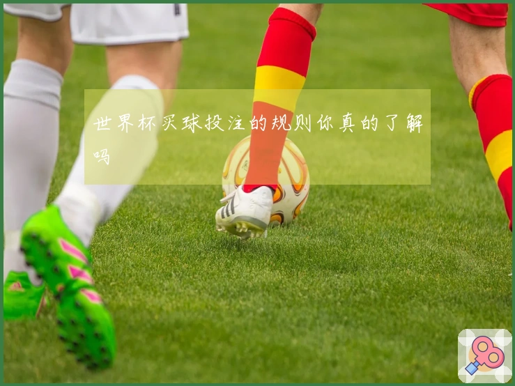 世界杯买球投注的规则你真的了解吗