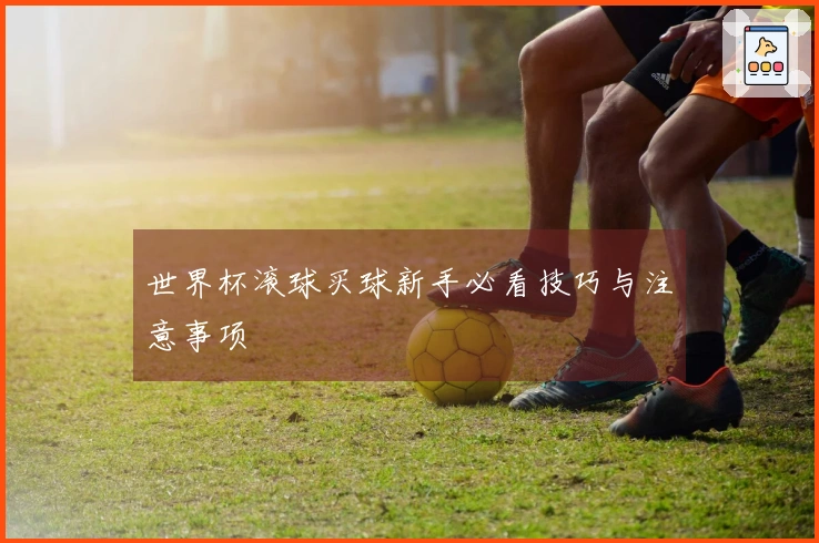 世界杯滚球买球新手必看技巧与注意事项