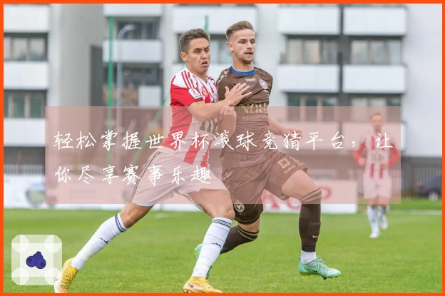 轻松掌握世界杯滚球竞猜平台，让你尽享赛事乐趣